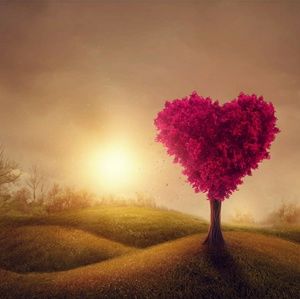 Meet your Posher, Riberta